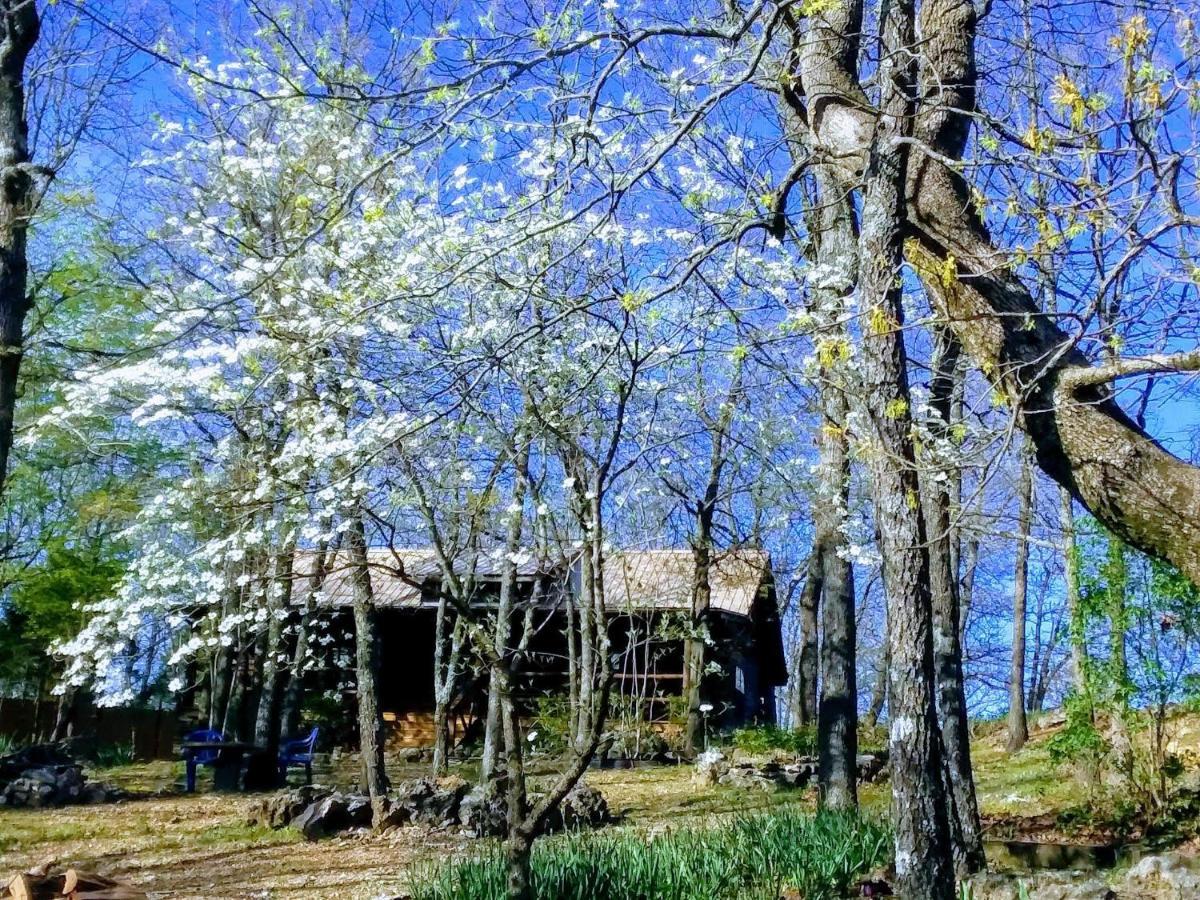 Cherokee Mountain Log Cabins Eureka Springs Exteriör bild